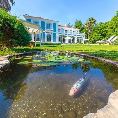 Zarik Guest house